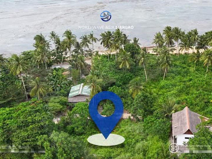 1,645 SQM Beach Lot for Sale in Sta. Fe, General Luna