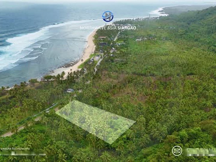 Prime Property in Pacifico, San Isidro, Siargao