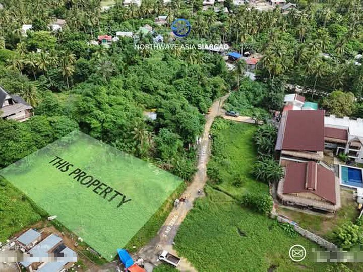 Overlooking View and Near Tourism Road