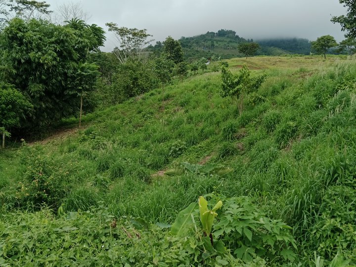 100 sqm Residential Lot For Sale in Arakan Cotabato