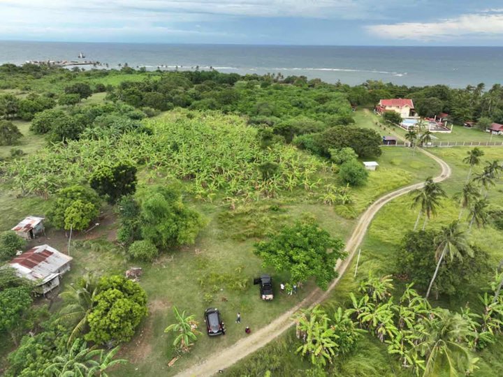 4 years installment subdivided sea view lot for sale.