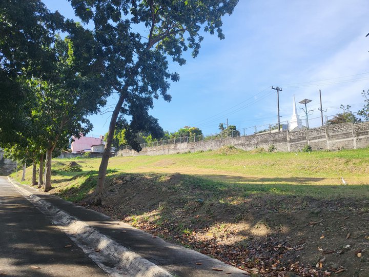 540sqm lot in Manila Southwoods DP in 24months