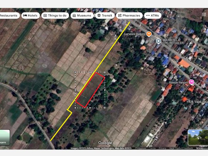 RUSH SALE! Prime Land for Sale in Dolores, Capas (NEGOTIABLE!)