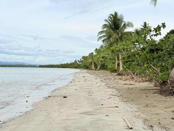 Affordable Beach lot for sale al