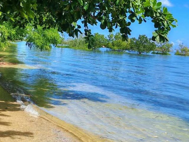 Affordable installment 0% interest beach lot