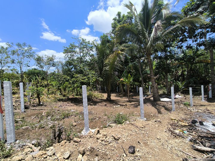500sqm Residential Farm Amadeo Cavite