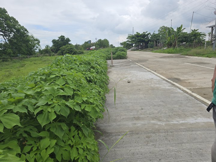 Prime Agricultural lot 11,000 sqm