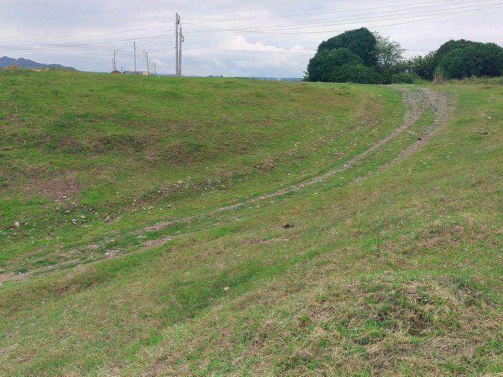 Farm lot 1 hectare in Cuyapo Nueva Ecija