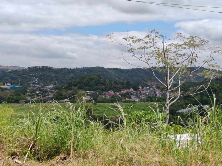 100 Sqm min cut residential lot for sale in Antipolo