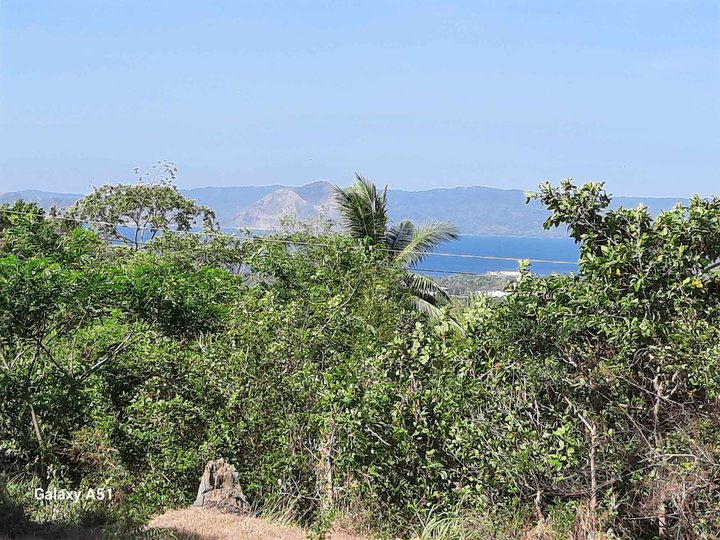 Taal View Heights Aya Talisay Batangas Lot For Sale