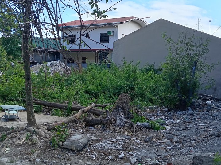 Lot For Sale in Bacoor Cavite