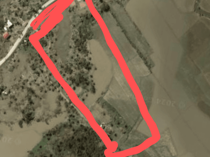 4.8 hectares Farm Lot For Sale in Roxas Palawan