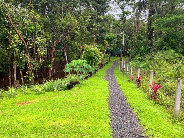 Resindential farm lot/camp site