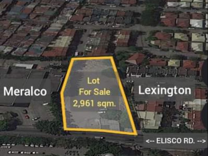 2,961 sqm Commercial Lot For Sale in Pasig