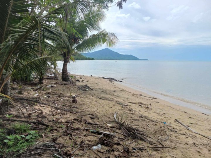 2 hectare beach property for sale in Roxas palawan