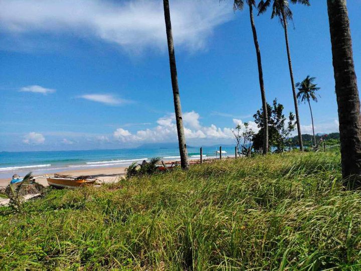 1.33 hectare beach property for sale in San Vicente palawan