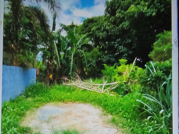 Lot only for re sale . at Binan, Laguna