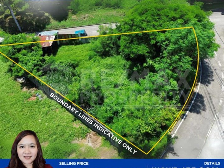 455 sqm Residential Lot For Sale in Muntinlupa