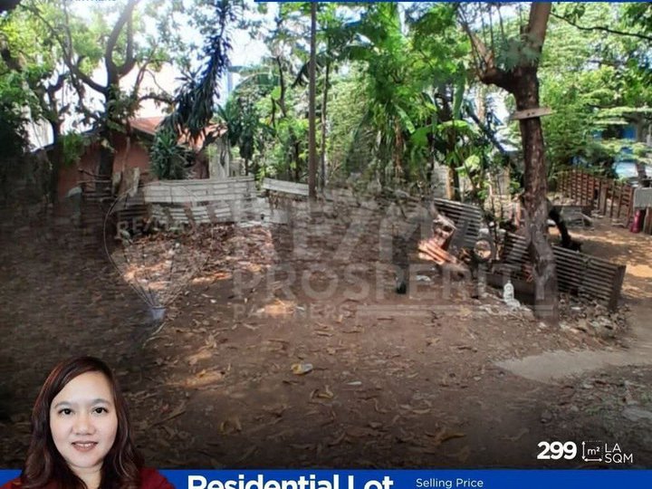 299 sqm Residential Lot For Sale in Muntinlupa