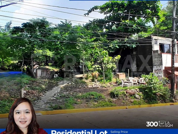 300 sqm Residential Lot For Sale in Muntinlupa