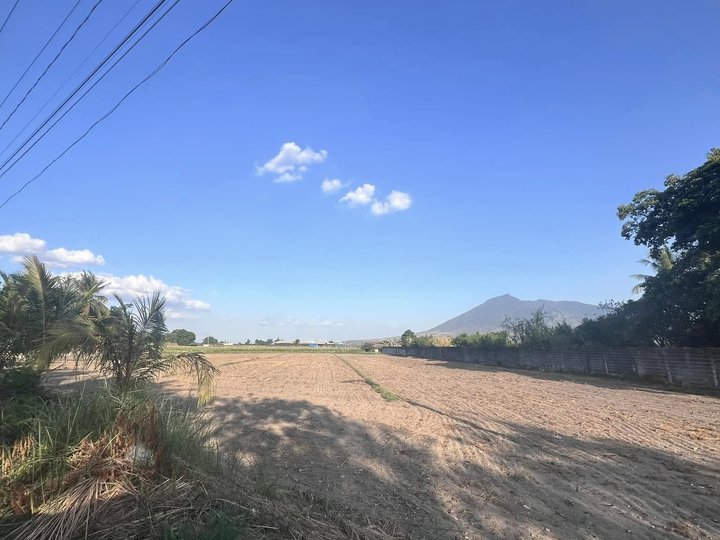 1 Hectare Farm Lot for Sale in Magalang, Pampanga (Near Clark!)