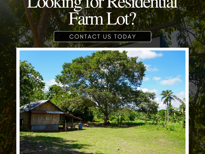 263 sqm Residential Farm For Sale in Indang Cavite