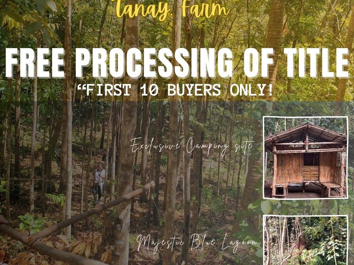 1,000 sqm Residential Farm For Sale in Tanay Rizal
