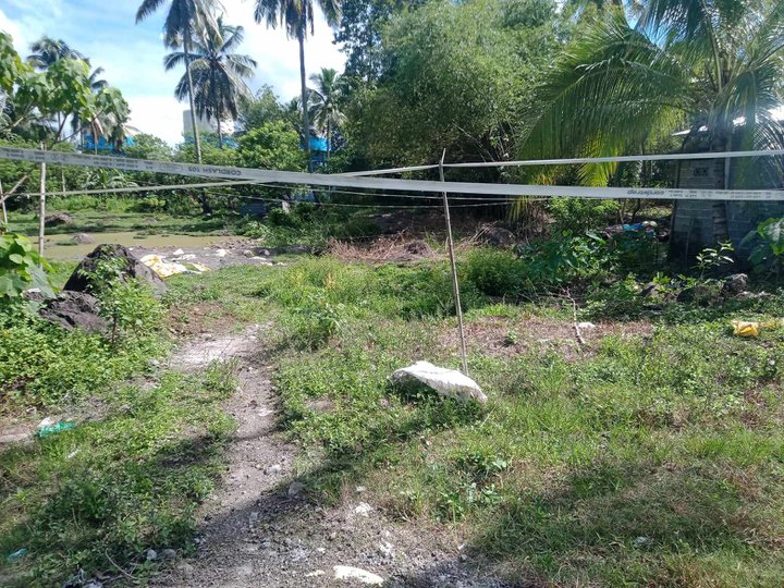 Clean title Lot 1705 square meters Biao Joaquin Calinan Davao city