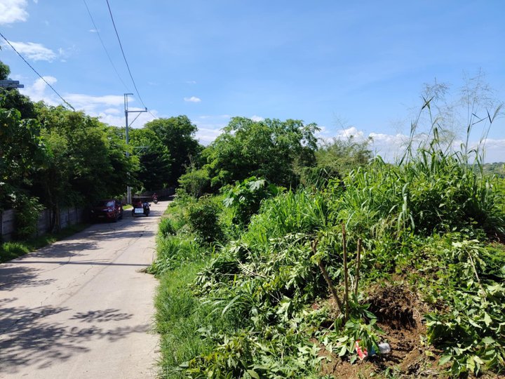 Direct to owner, malapit sa EVER rd in SJDM Bulacan