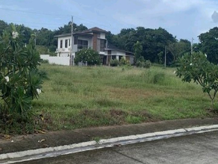 Beach Lot in Playa LAIYA (for bank fin) San Juan Batangas