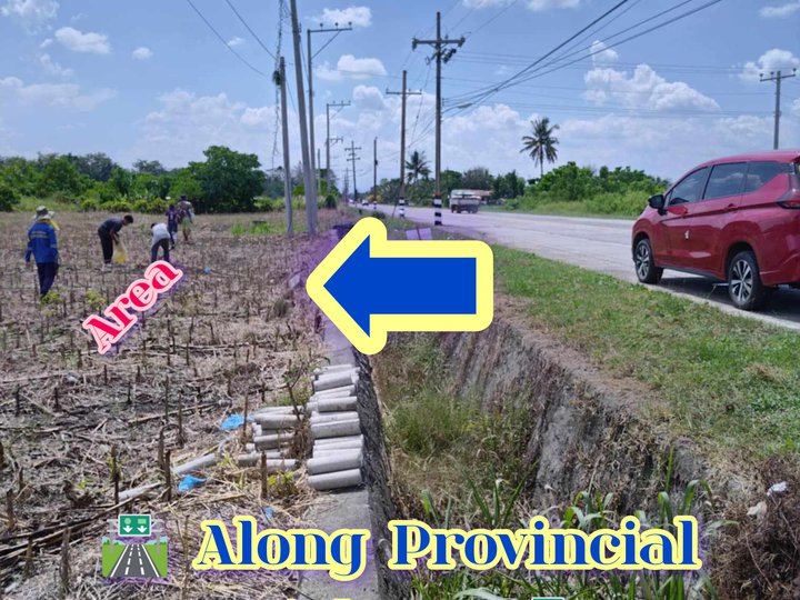 LOT FOR SALE ALONG PROVINCIAL HIGHWAY