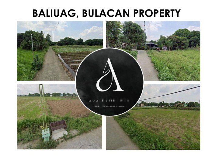 3.32 hectares Farm Lot For Sale By Owner in Baliuag Bulacan