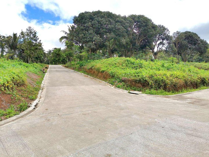 Near Tagaytay Lot for Sale in Mendez Cavite..