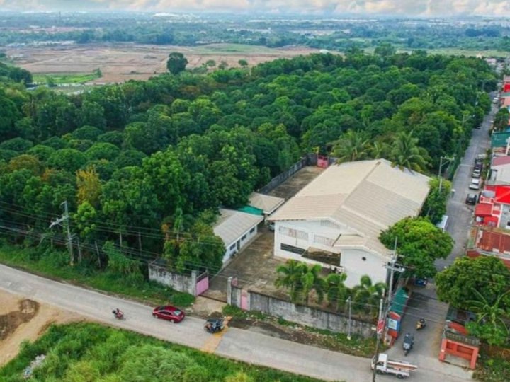 2.2 hectares Farm Lot For Sale in Calamba Laguna