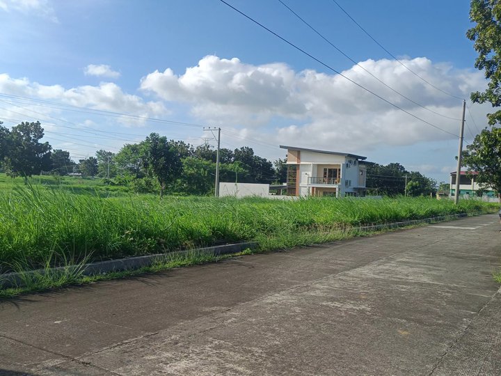 150sqm Residential Lot, in an Exclusive Subdivision in Tanauan Bats.