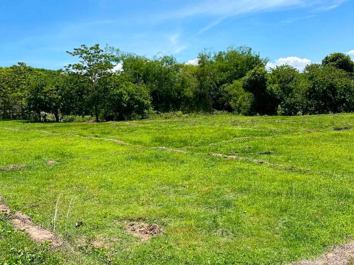 Mini Farm for Sale in Cuyapo, Nueva Ecija