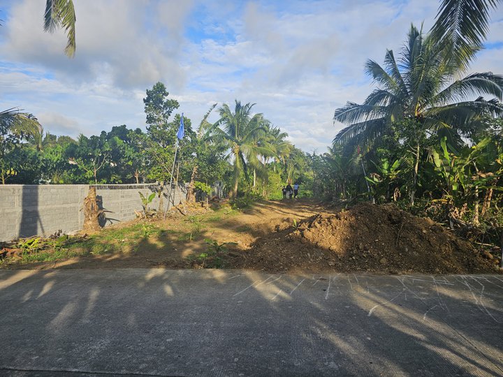 Farm Lot For Sale in Amadeo Cavite