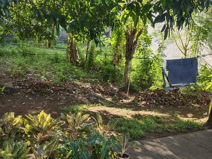 My sister and her husband want to sell this property