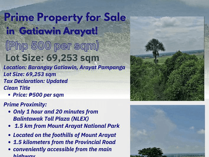 6.93 hectares Raw Land For Sale in Arayat Pampanga