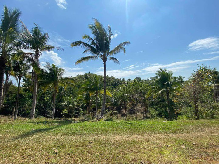 Lot For Sale in Bunacan,Tubigon,Bohol