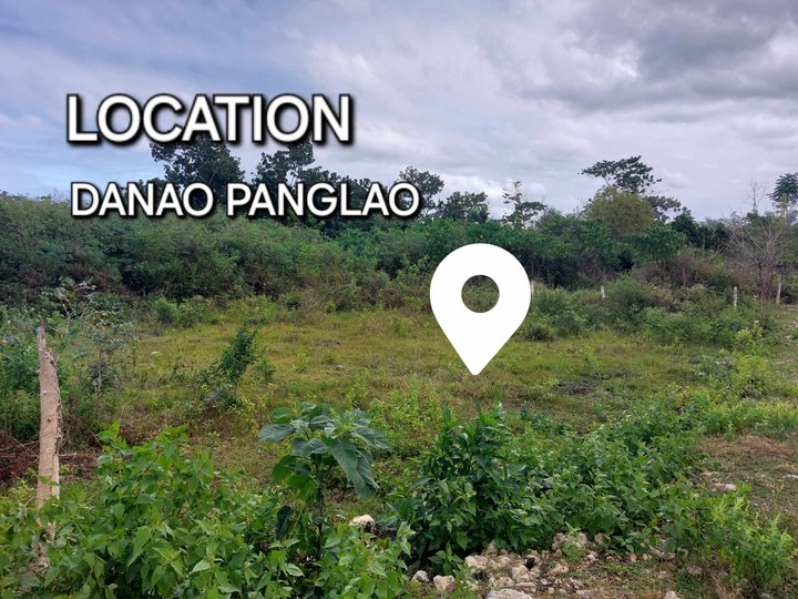 Lot For Sale in Danao Panglao Bohol