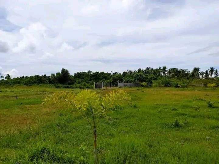 LOT NEAR IN WHITESAND BEACHES & INT. AIRPORT IN PANGLAO BOHOL