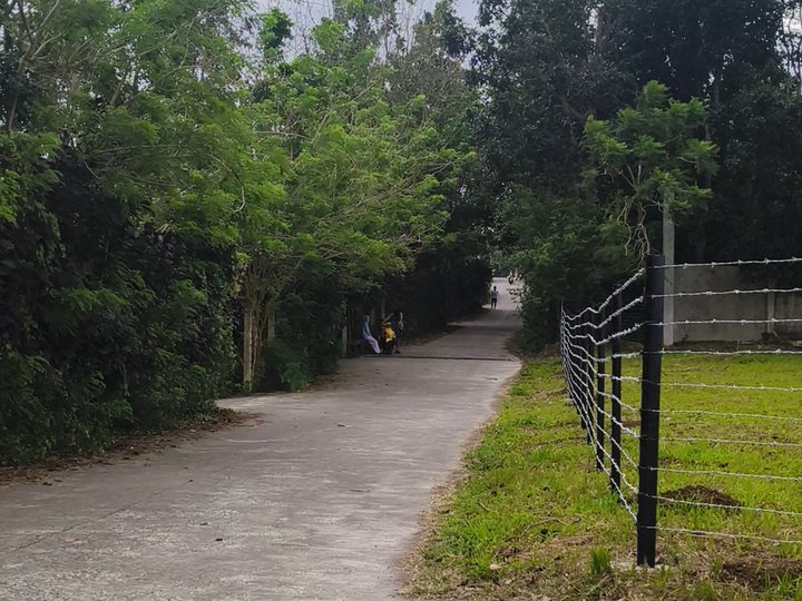 Commercial/Residential Property For Sale in Amadeo Cavite