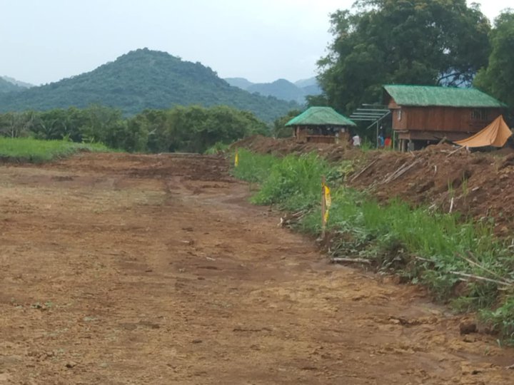 1000 sqm minimum lot cut Subdivided farmlot 1300 per sqm t for lot Nasugbu batangas