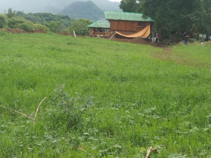 1000 /1300 sqm   subdivided farmlot  FOR SALE  IN  NASUGBU BATANGAS