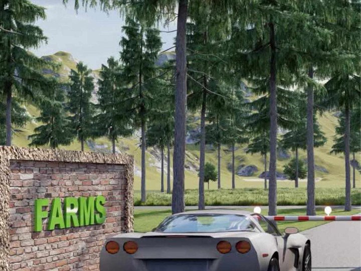 Residential farm lot for cash and installment