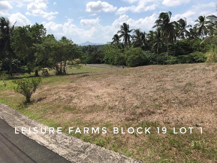 861 sqm Residential Farm For Sale in Leisure Farms Lemery Batangas