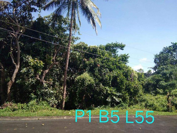 1,202 sqm Residential Farm For Sale in Leisure Farms Lemery Batangas