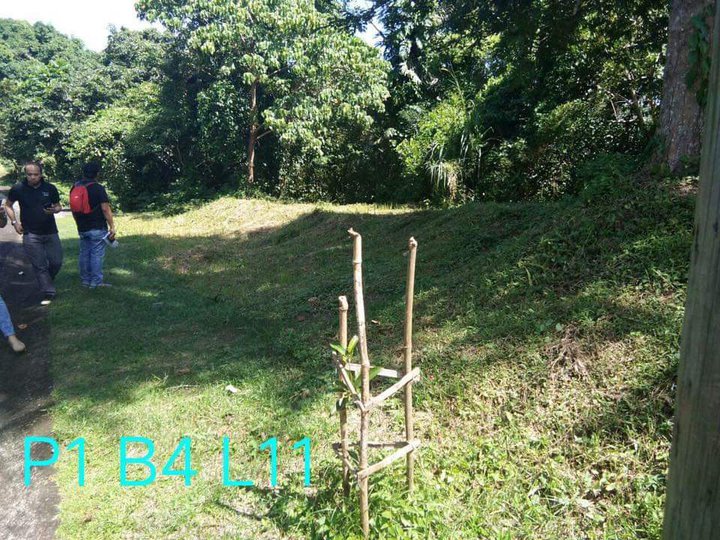 1,013 sqm Residential Farm For Sale in Leisure Farms Lemery Batangas