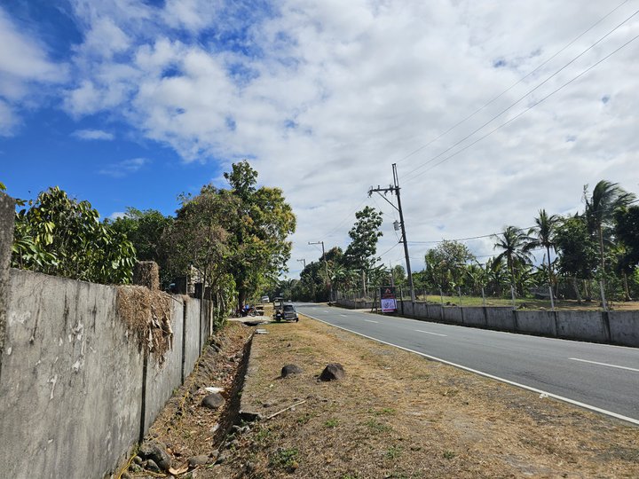 1,000 sqm Residential Farm For Sale in Amadeo Cavite